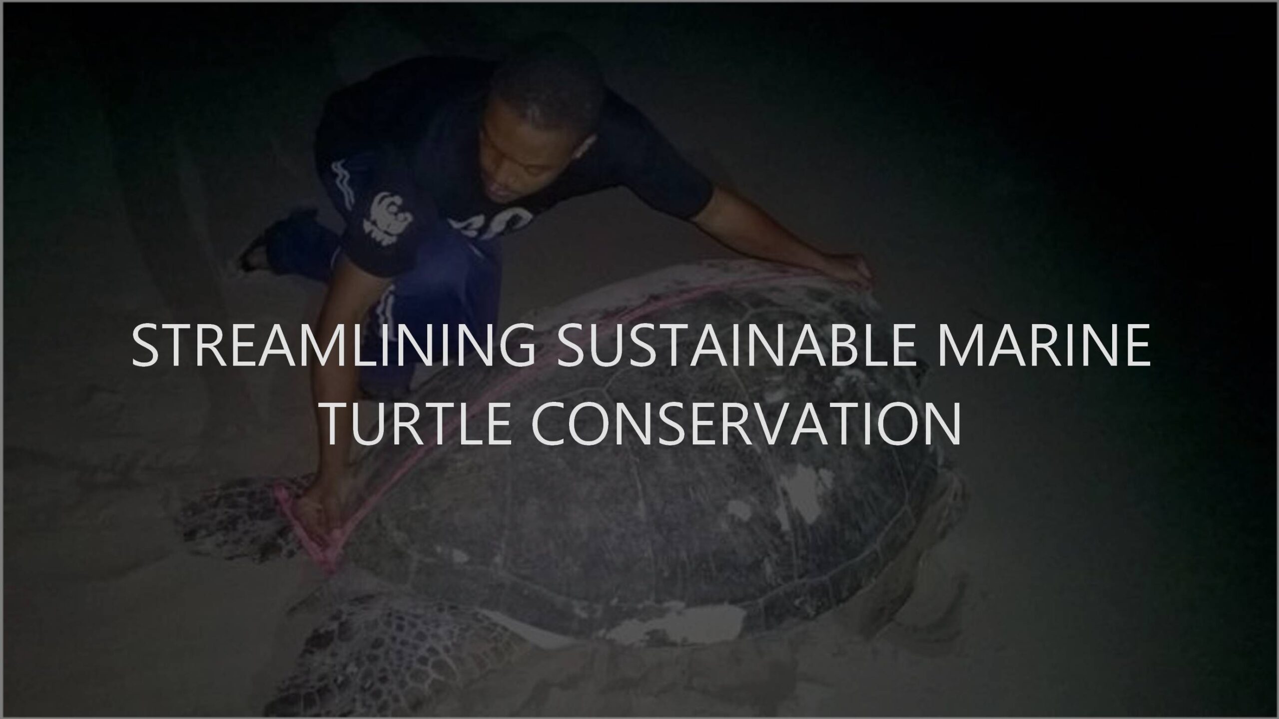 Streamlining Sustainable Marine Turtle Conservation